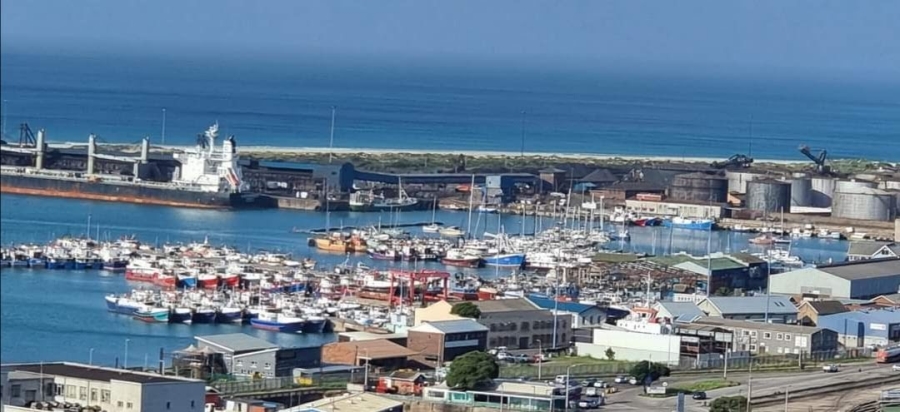 Commercial Property for Sale in Humerail Eastern Cape
